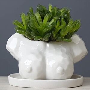 Female Body Ceramic Vase with Drainage Hole – Unique Boho Bust Planter for Indoo